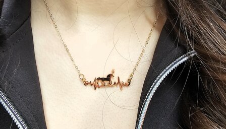 Ketting met paardje