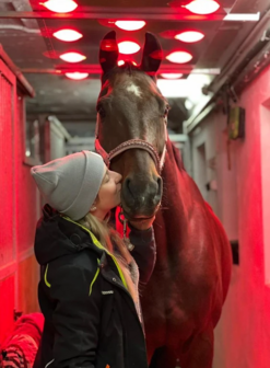 Solarium voor paarden