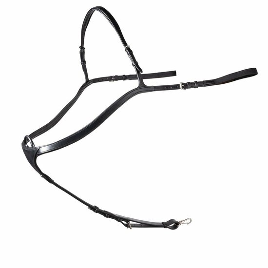 Lyon Long bridge breastplate Blk/Slvr Full