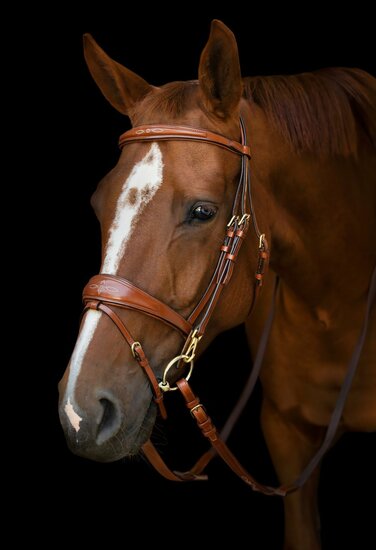 Belmond bridle cob licht bruin goud